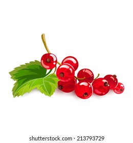 Red currant isolated on white.