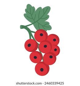 Rote Johannisbeere isoliert auf weißem Hintergrund, Vektorillustration