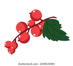 Red currant on white background
