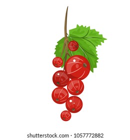 Red currant. Realistic vector illustration of berries and green leaves on white background. Background design for tea, ice cream, natural cosmetics, candy and bakery, health care products.