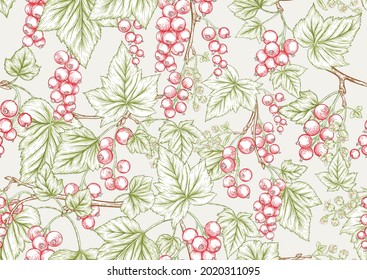 Red currant Ripe berries. Seamless pattern, background. Vector illustration. In botanical style on light gray background