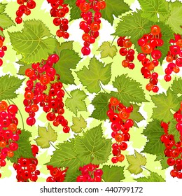 Red currant seamless pattern. Collection of berries. Vector illustration of berries for design menus, recipes and packages product.