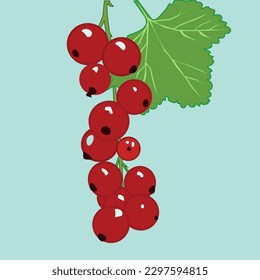 red currant sprig berries vector

