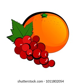 Red currant and tangerine on a white background. Vector illustration of assorted fruit
