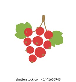 Red currant. Vector berry. Natural healthy food. Hand drawn fruit. Vegan menu. Vegetarianism