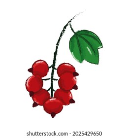 Red currant vector icon on white background. 