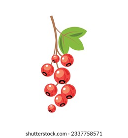 Red currant vector illustration, currant flat icon
