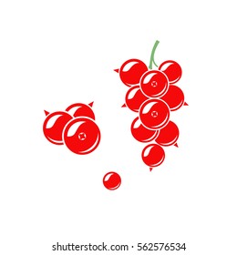 Red currant. Vector illustration.  Redcurrant on white background. 