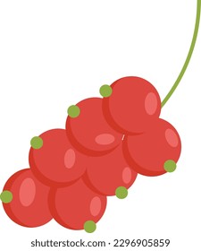 Red Currants Fruit Vector Illustration isolated on white background
