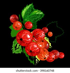 red currants on a dark background