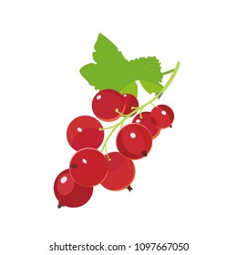 Red currants. Vector icon berry in cartoon style. Isolated on white background