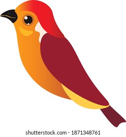 rojo lindo vector animal pájaro aislado elementos de diseño sobre fondo blanco. Concepto de logotipo, impresión