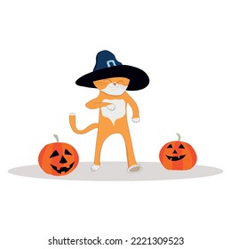 red cute cat goes to the Halloween holiday, dressed in a black hat, between two scary orange pumpkins