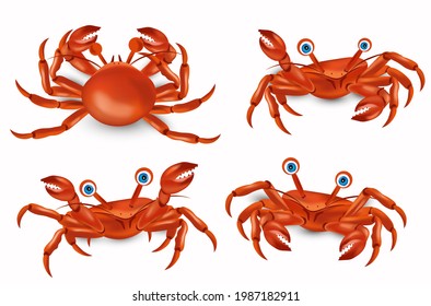 Red cute crab with big claws four different pose. Crab cartoon character. Sea creature icon. Vector illustration.
