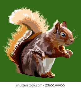 red cute squirrel animal with green background