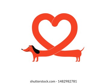 Red dachshund dog with heart shape body, cute pet animal forming a love symbol. Cartoon character smiling and standing isolated on white background - vector illustration