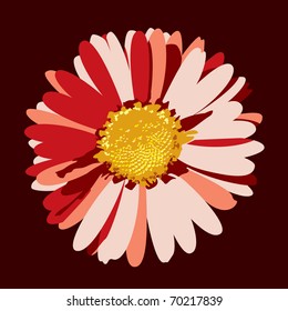 Red Daisy Flower. Eps10 Format.