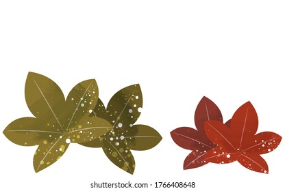 Red and dark green autumn leaves, transparent watercolor style illustration
Vector illustration