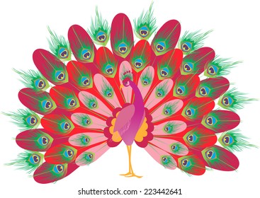 red decorative peacock