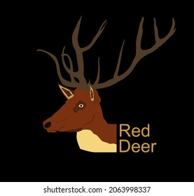 Red deer head vector illustration isolated on black background. Reindeer symbol, proud noble deer male in forest or zoo. Powerful buck with huge neck and antlers standing.