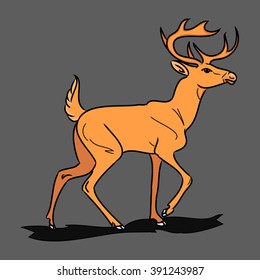 Red deer on a gray background