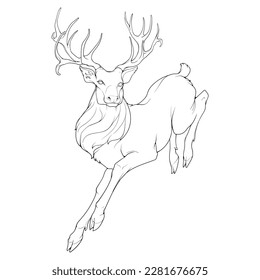 A red deer stag running  Side full height view  magnificent antlers  Black Line drawing isolated white background  EPS10 Vector illustration