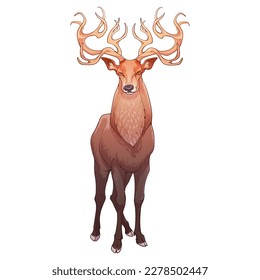 A red deer stag standing in full height, front view, magnificent antlers. Line drawing colored shaded and isolated on white background. EPS10 Vector illustration