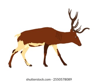 Ilustração do vetor veado vermelho isolado no fundo branco. Símbolo de rena, nobre cervo macho orgulhoso na floresta ou zoológico. Poderoso buck com chifres enormes de pé.