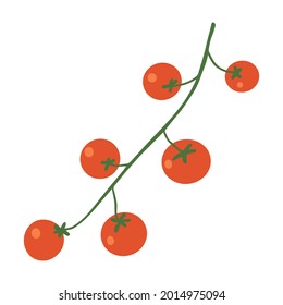 Red delicious cherry tomato on a branch. Organic eco food from farm. Flat hand drawn vector illustration isolated on white background