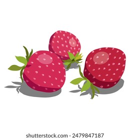 Red delicious strawberries with shadow on white background. Ripe fruit. Food vector illustration.