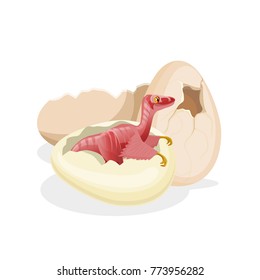 Red dinosaur pterodactyl just hatched from the egg shell