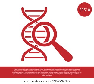 Red DNA research, search icon isolated on white background. Magnifying glass and dna chain. Genetic engineering, cloning, paternity testing. Vector Illustration