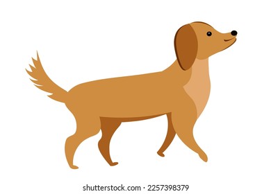 
roter Hund auf weißem Hintergrund.