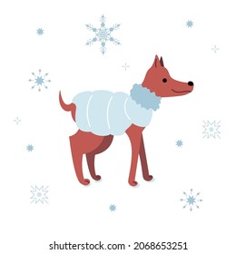 Red dog in a trendy blue winter down jacket. The puppy is standing or walking with snowflakes. The pet is smiling and cute. It can be used for sticker, patch, phone case, poster, t-shirt, mug etc.