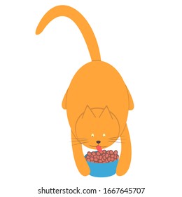 Red domestic cat eats food from a bowl. Fat ginger cat eating dry food for the animals. Vector illustration.