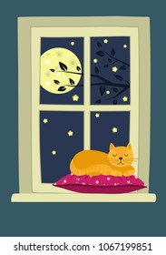 Red domestic cat sleeping on pillow on the window at night. Good night. Cute vector illustration.