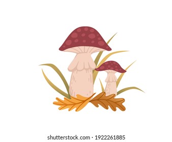 Red dotted poison mushrooms growth in forest with yellow leaves vector illustration