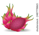 Red dragon fruit with shadow isolated on white background. Realistic dragon fruit.