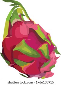 Ilustración del vector de frutas del Dragón Rojo