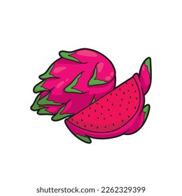 red dragon fruit vector illustration