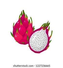 Red dragon isolated on white background. Bright vector illustration of colorful half and whole of juicy Red dragon. Fresh cartoon