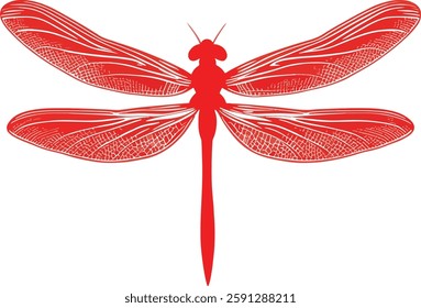 Red Dragonfly Vector Illustration Isolated on White Background