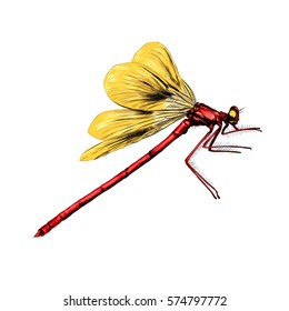 red dragonfly with yellow wings flies vector color drawing