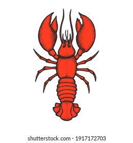 Red drawing lobster isolated on white. Cartoon hand drawn style. Colorful vector illustration.