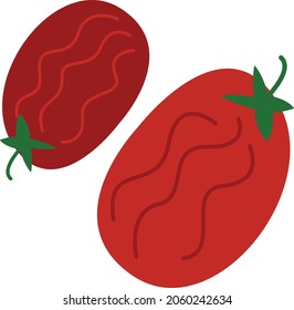 Red Drieed tomatoes vector illustration