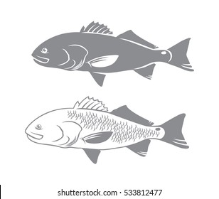  Red Drum Fish