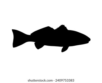 Red Drum Fish silhouette vector art