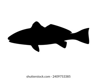 Red Drum Fish silhouette vector art