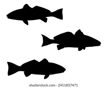 Red Drum Fish silhouette vector art white background