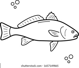 Red drum. Salt water fish. Georgia State symbol. Vector outline icon.